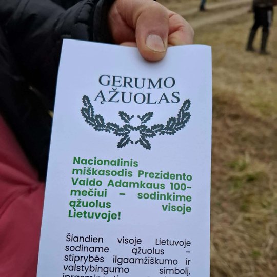 Iliustracija